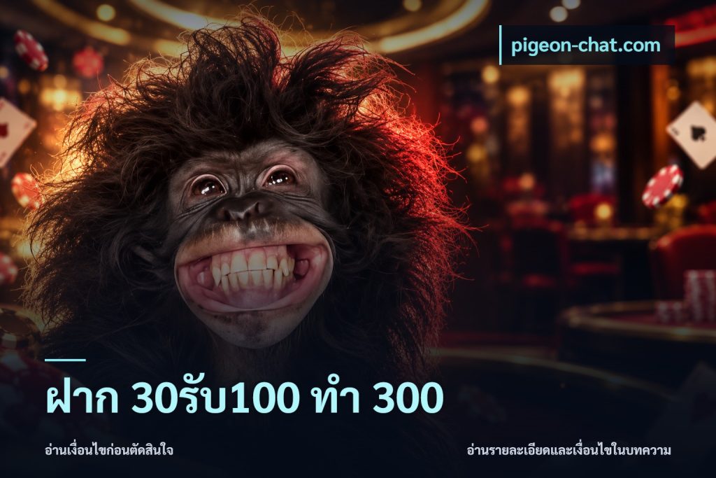 ฝาก 30รับ100 ทำ 300