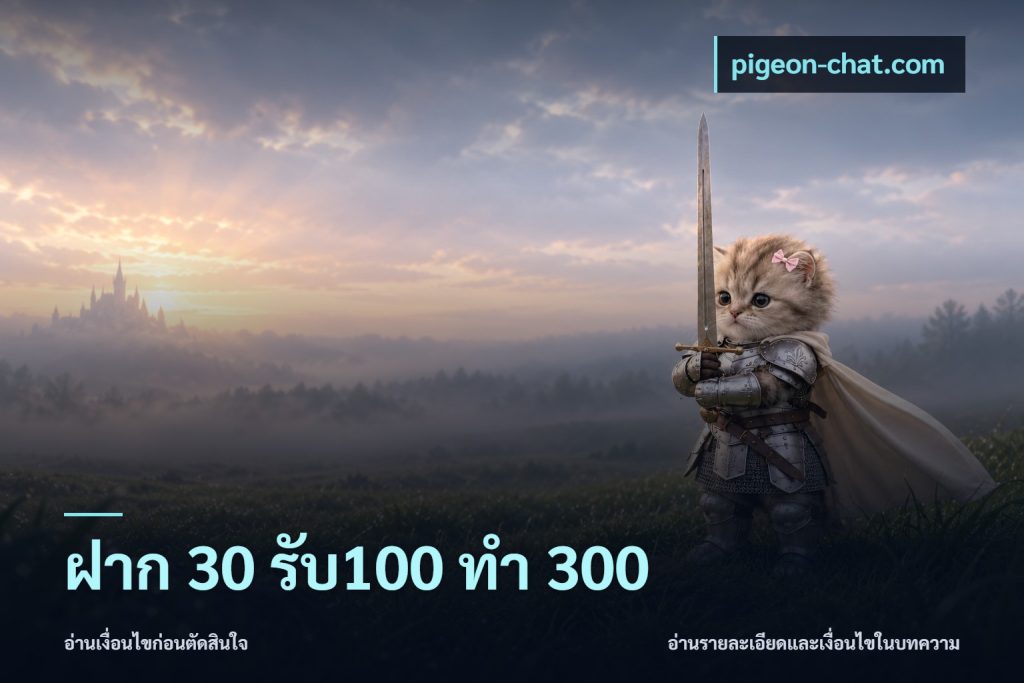 ฝาก 30 รับ100 ทำ 300