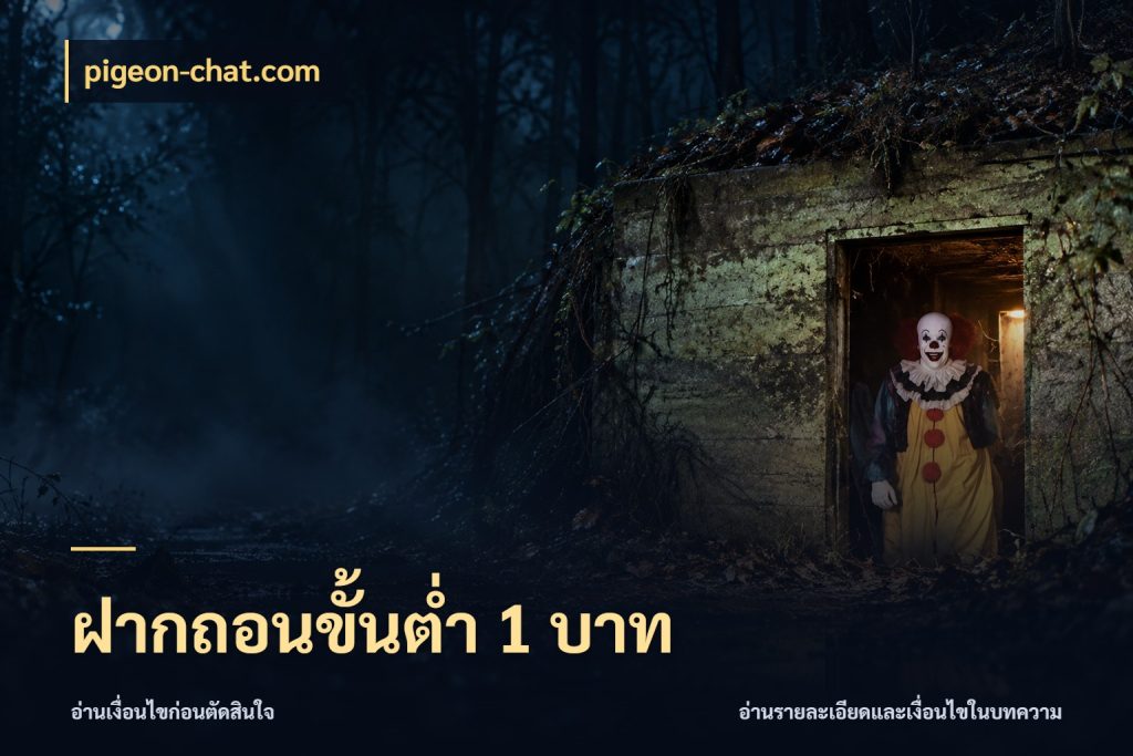 ฝากถอนขั้นต่ำ 1 บาท รู้จักจำนวนแต่ละแบบก่อนเลือกเกม สไตล์ pigeon-chat.com
