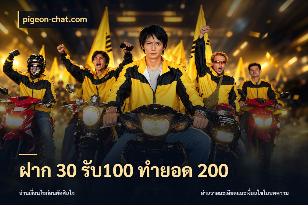 ฝาก 30 รับ100 ทำยอด 200 ยอดฝากและยอดรับในมุมของคนชอบลุ้น ในมุม pigeon-chat.com